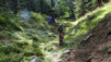 col_de_tardiva_040