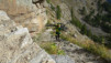 col_du_leynir_004