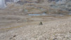 col_du_leynir_024