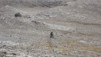 col_du_leynir_025