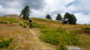 col_du_salve_026