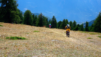 col_du_salve_027