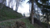 col_lein_20_001