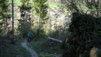 col_lein_20_003