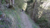 col_lein_20_004