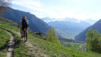 col_lein_20_009