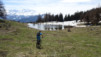 col_lein_20_010