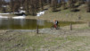 col_lein_20_011