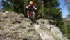 col_lein_20_016