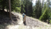 col_lein_20_017