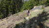 col_lein_20_018