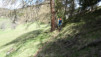 col_lein_20_020