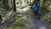 col_lein_20_024