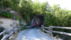 col_torrent_15_001