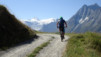 col_torrent_15_004