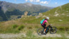 col_torrent_15_005