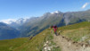 col_torrent_15_008