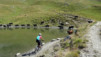 col_torrent_15_009