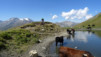 col_torrent_15_011