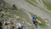 col_torrent_15_016