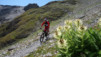 col_torrent_15_019