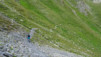 col_torrent_15_022