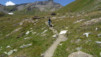 col_torrent_15_027