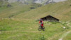 col_torrent_15_029