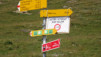 col_torrent_15_030
