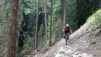 col_torrent_15_038