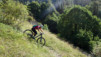 col_torrent_15_041