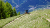 comba_plane_020