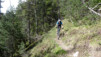 cordona_albinen_001