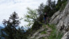 cordona_albinen_002
