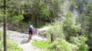 cordona_albinen_003