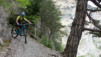cordona_albinen_010