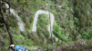 cordona_albinen_011