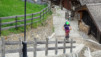 cordona_albinen_012