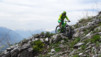 cordona_albinen_013