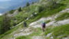cordona_albinen_017