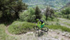 cordona_albinen_020