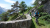 cordona_albinen_023