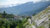 cordona_albinen_034