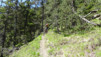 cordona_albinen_16_004
