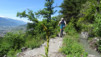cordona_albinen_16_009