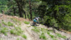 cordona_albinen_16_014