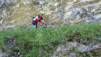 cordona_albinen_16_015
