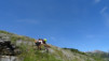 cordona_albinen_16_036