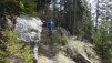 cordona_albinen_17_002