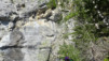 couvinir_017
